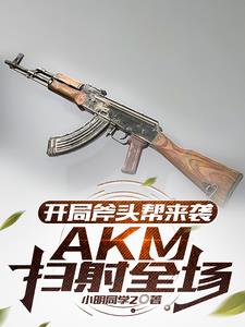 大军阀原版